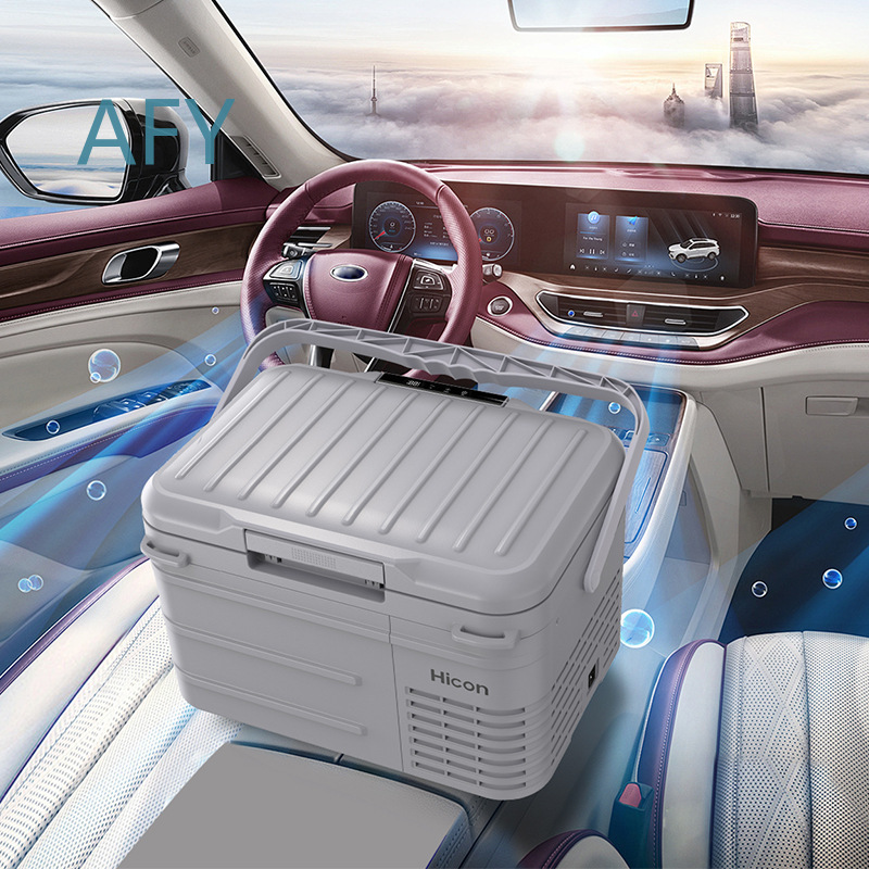 Car Refrigerator for 12V 24V D - Power Tools Zones 评论和价格